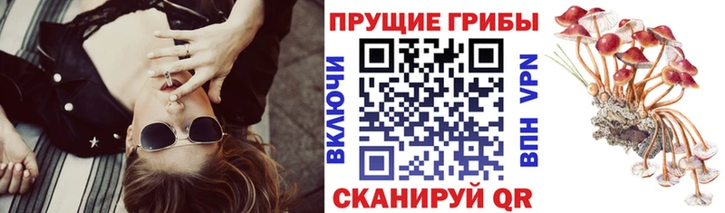 omg маркетплейс  Бийск  Псилоцибиновые грибы Magic Shrooms 